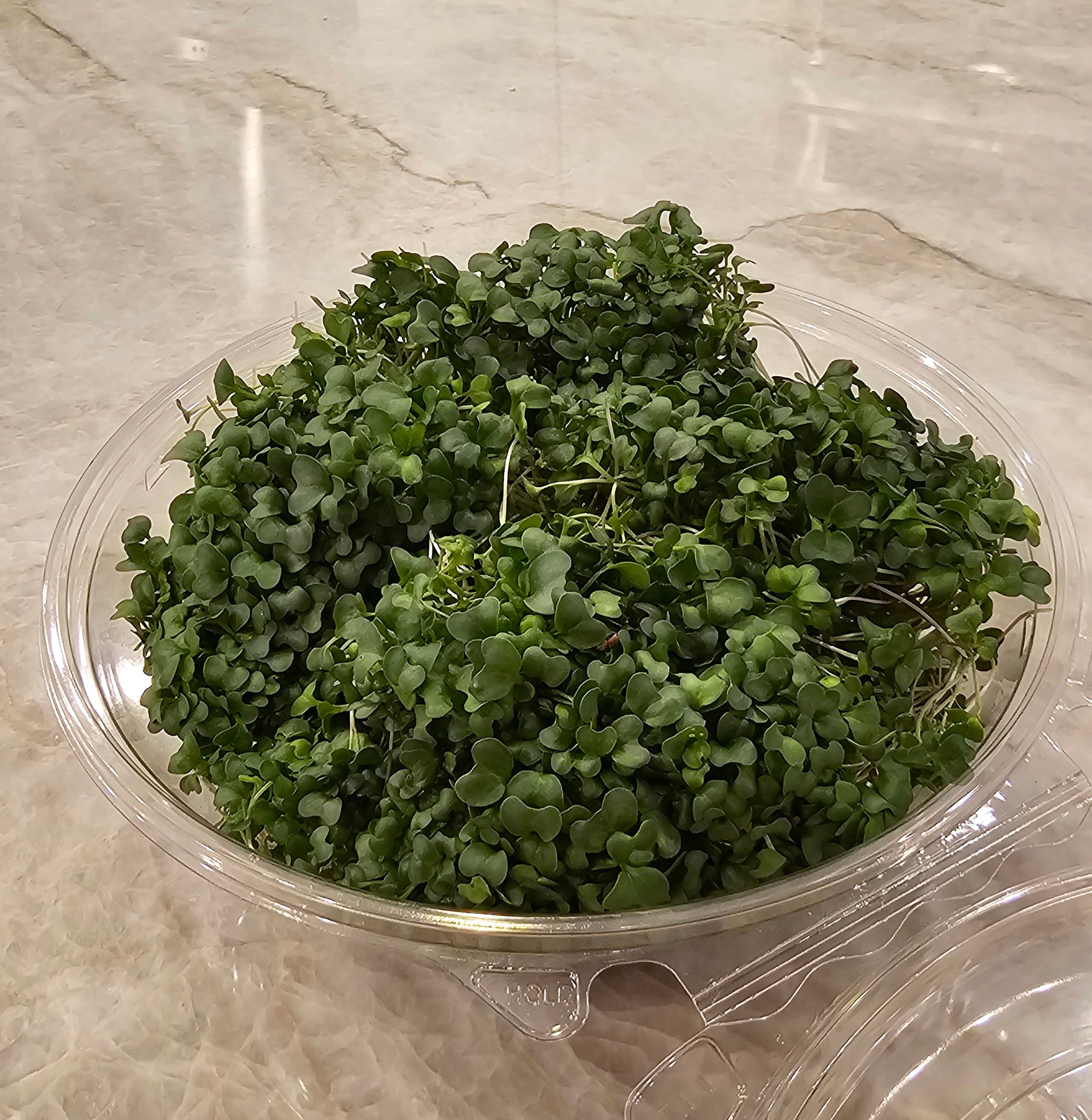 Broccoli Micros