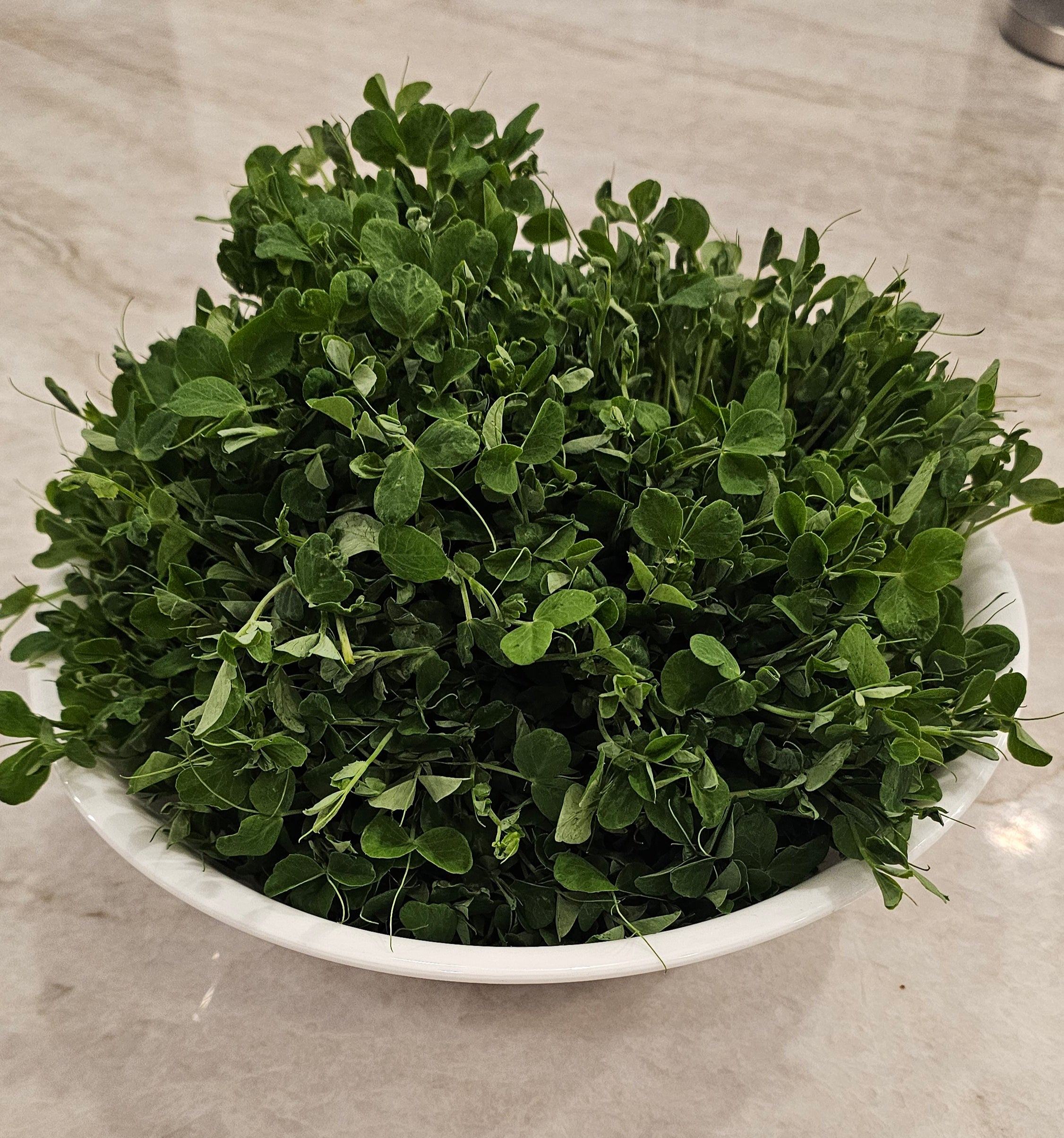 Sweet Pea Micros