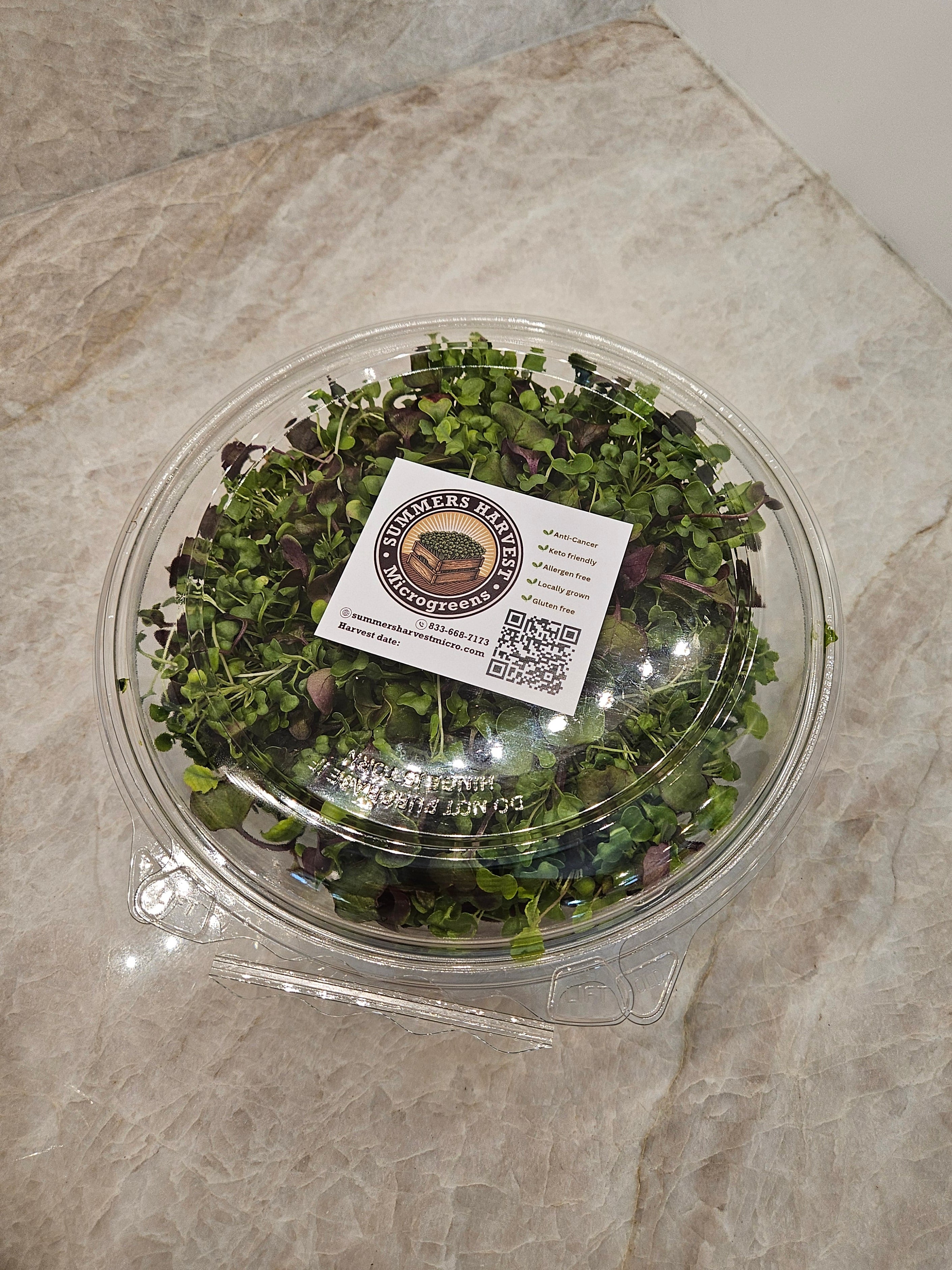 Broccoli + Radish Micros Mix