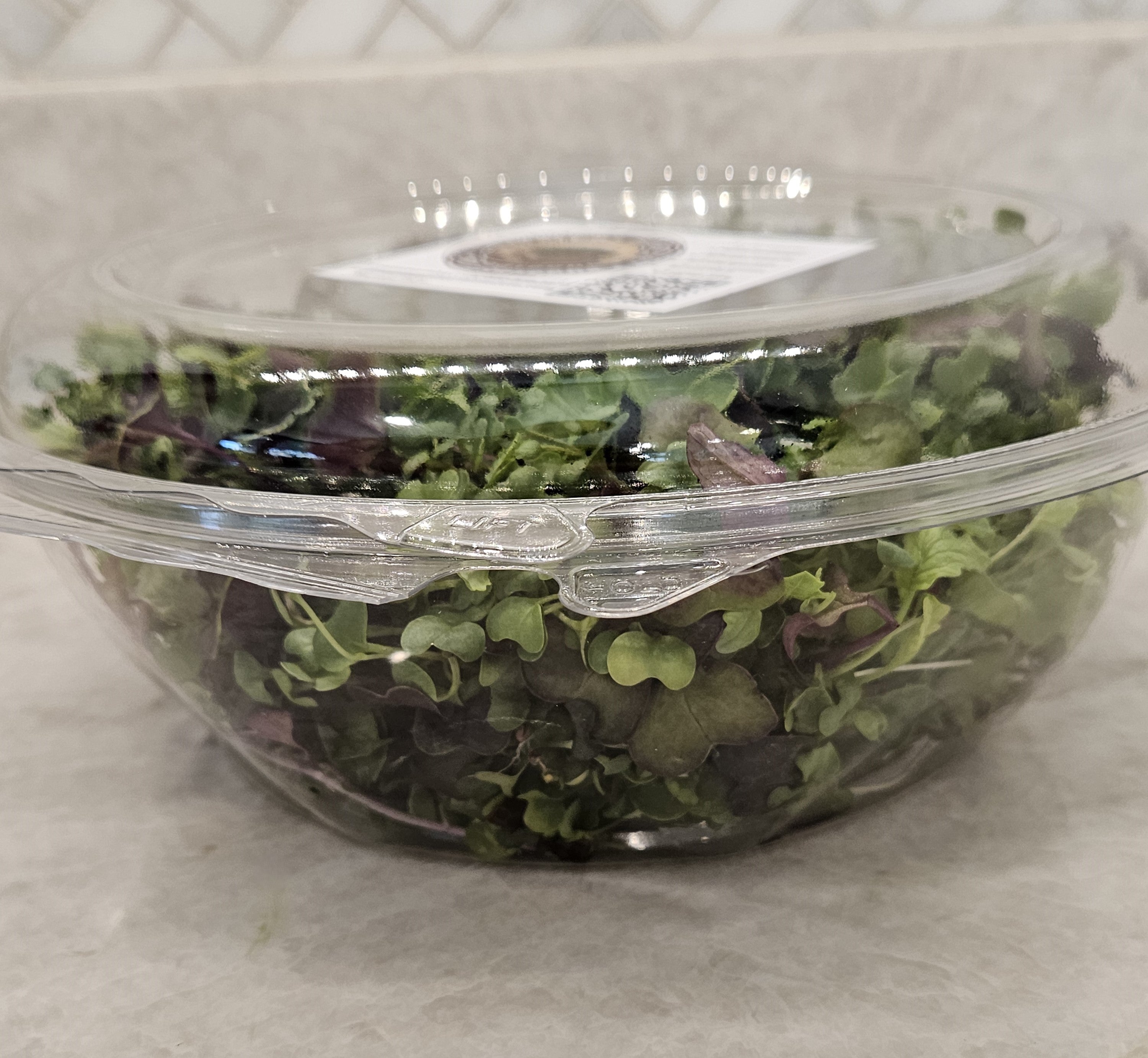 Broccoli + Radish Micros Mix