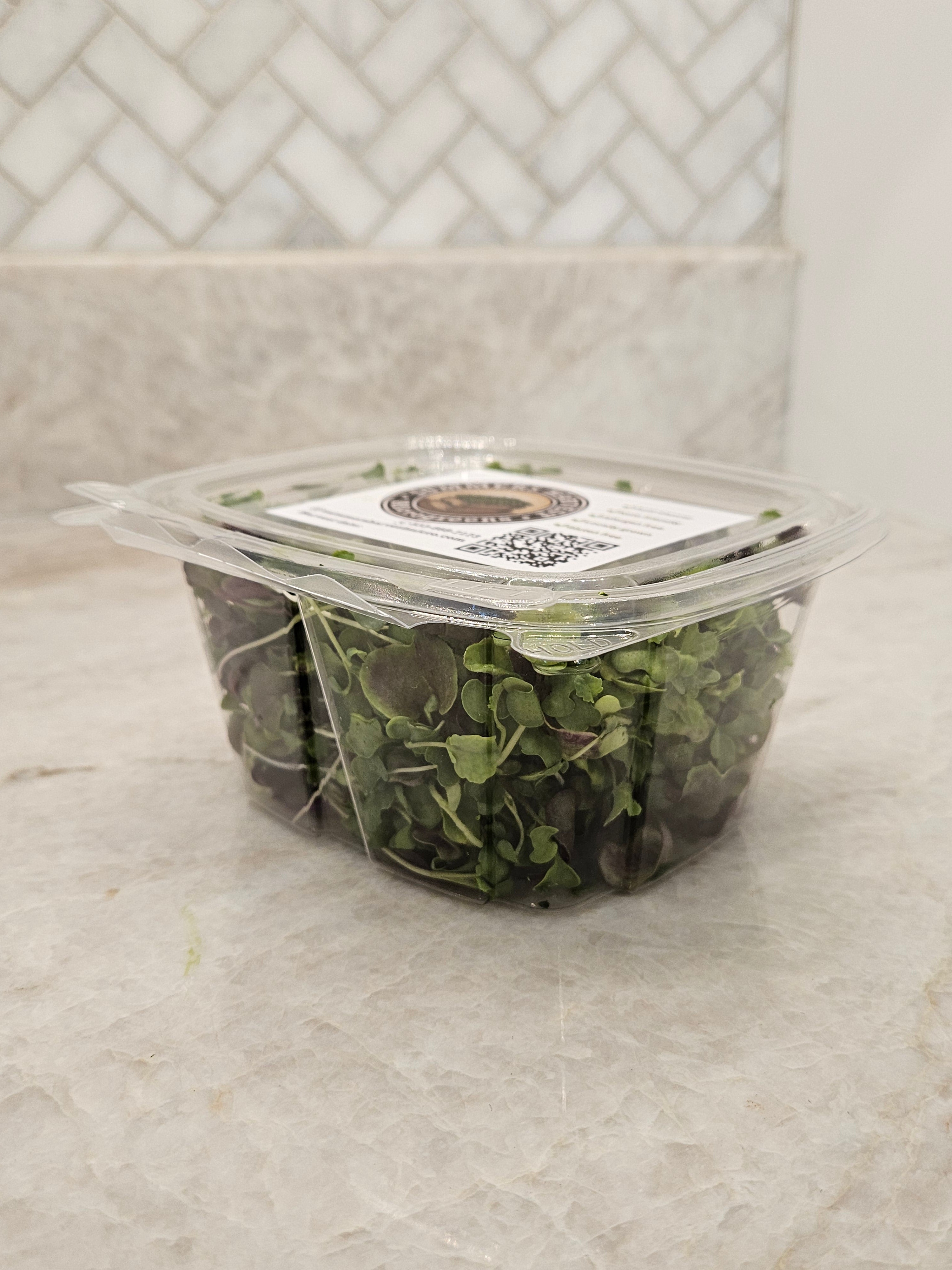 Broccoli + Radish Micros Mix