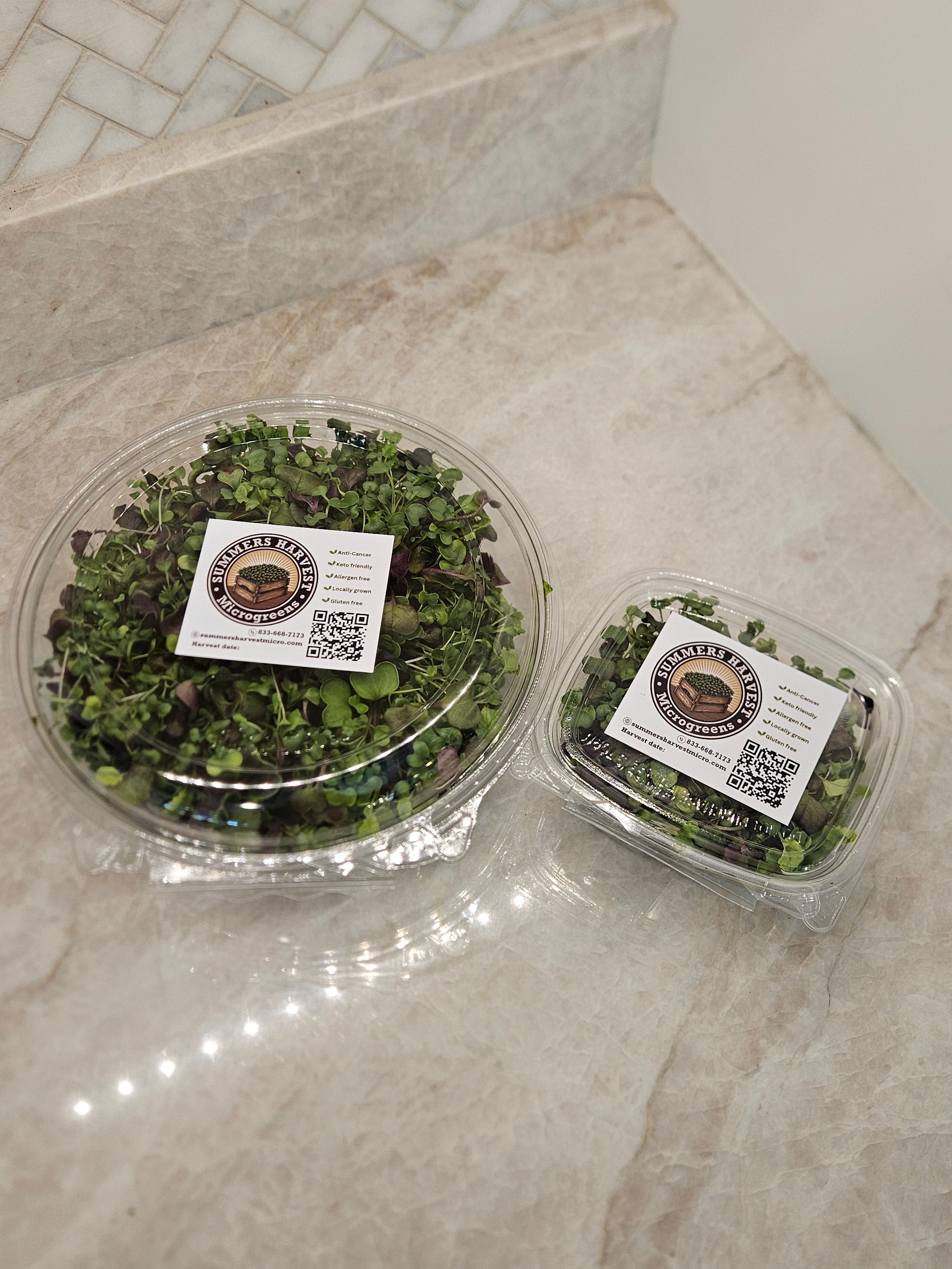 Broccoli + Radish Micros Mix