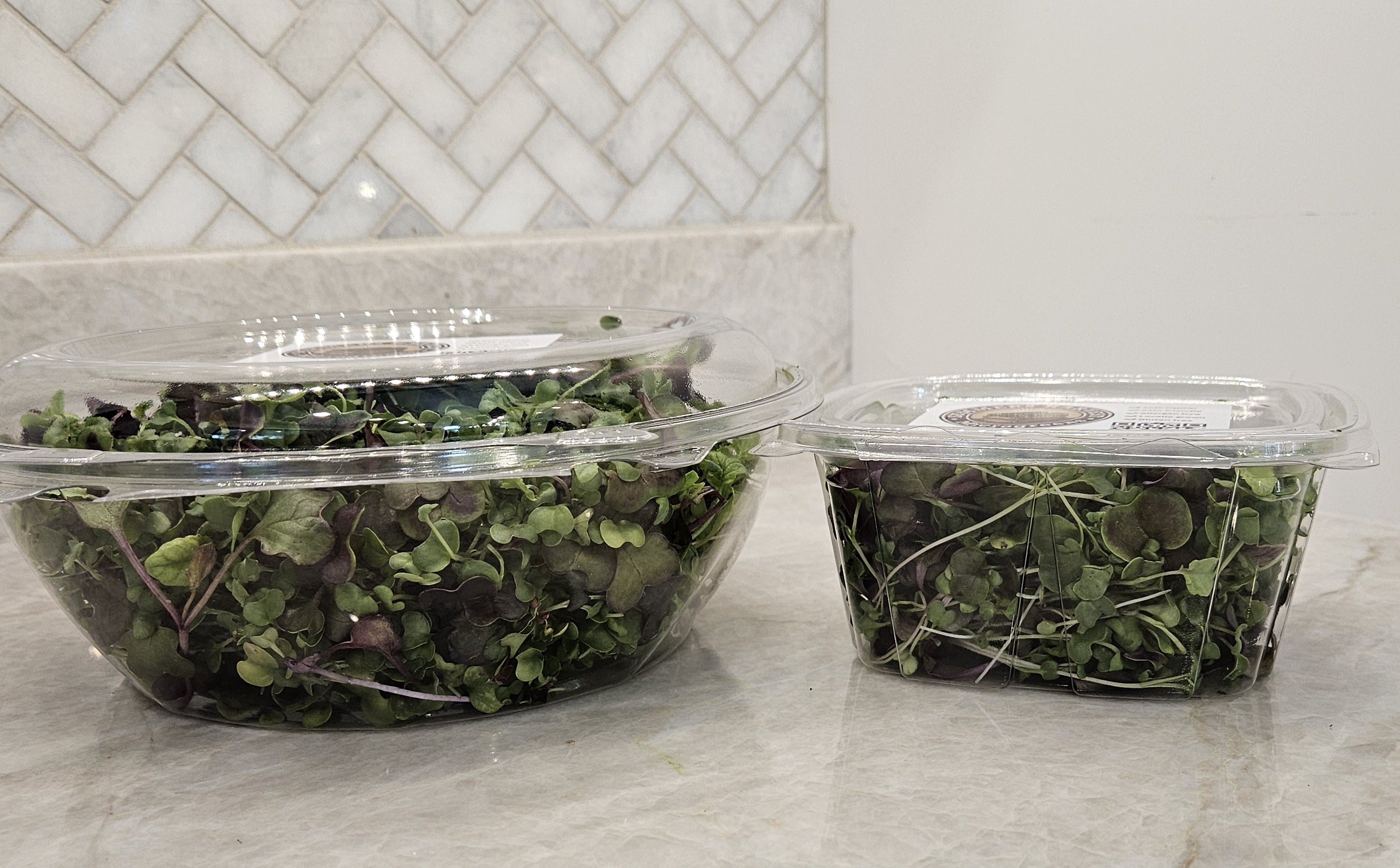 Broccoli + Radish Micros Mix