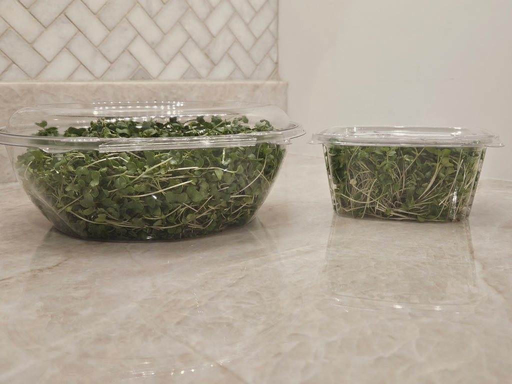 Broccoli Micros