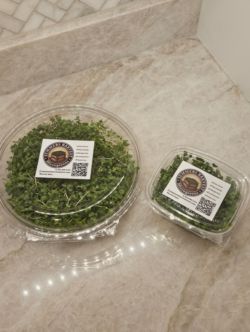 Broccoli Micros